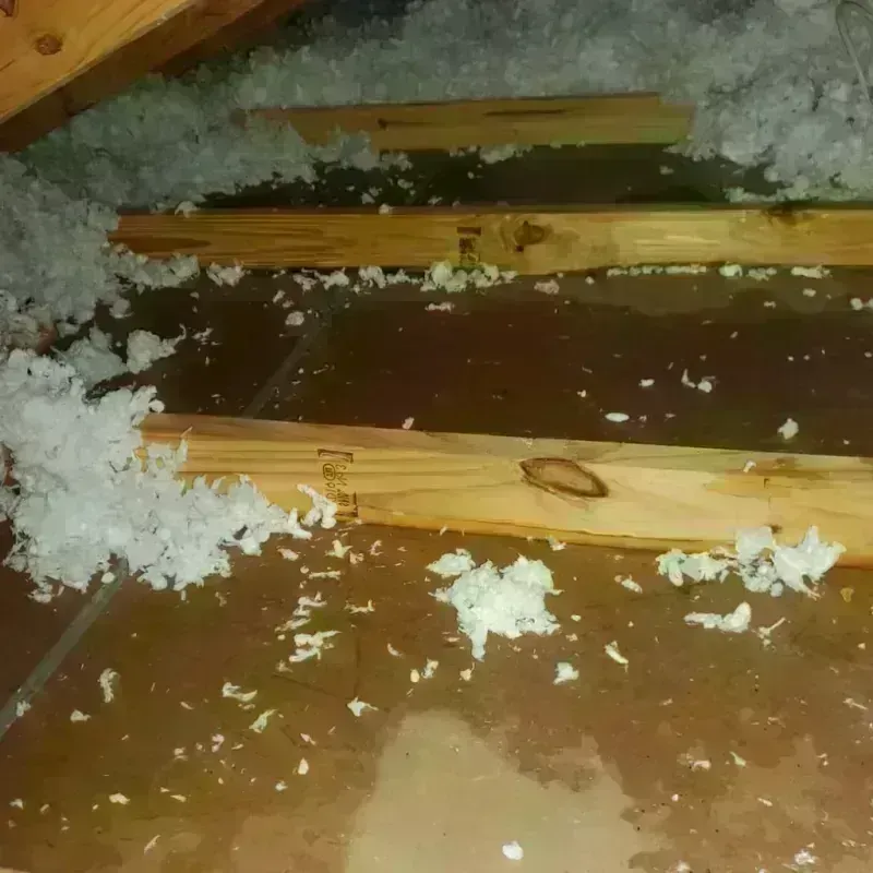 Attic Water Damage in City of Alexandria, VA