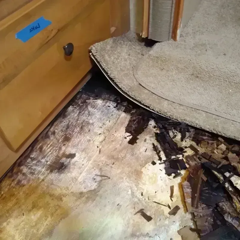 Wood Floor Water Damage in City of Alexandria, VA